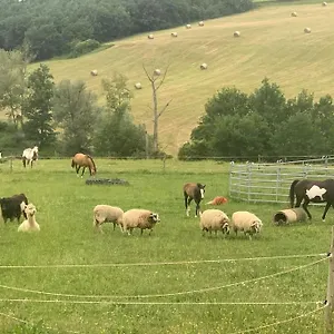 Hébergement de vacances A La Ferme Avec Jacuzzi Et Piscine Chauffee, Saint-Felix-de-Tournegat